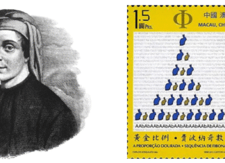 Trafiły króliki do matematyki